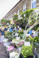 Columbia Road Flower Market, a very popular Sunday market between Hoxton and Bethnal Green in East London.