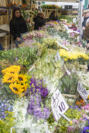 Columbia Road Flower Market, a very popular Sunday market between Hoxton and Bethnal Green in East London.