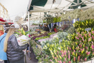 Columbia Road Flower Market, a very popular Sunday market between Hoxton and Bethnal Green in East London.