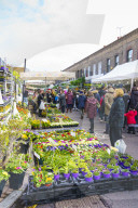 Columbia Road Flower Market, a very popular Sunday market between Hoxton and Bethnal Green in East London.