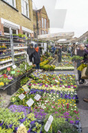 Columbia Road Flower Market, a very popular Sunday market between Hoxton and Bethnal Green in East London.