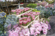 Columbia Road Flower Market, a very popular Sunday market between Hoxton and Bethnal Green in East London.