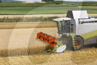 Combine Harvester in barley field, Austria, Europe,