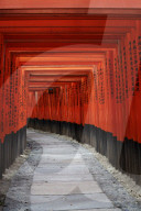Path under red torii in Fushimi Inari shrine, Kyoto, Japan.