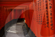 Path under red torii in Fushimi Inari shrine, Kyoto, Japan.