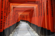 Path under red torii in Fushimi Inari shrine, Kyoto, Japan.