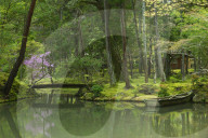 Pond with rowboat in the moss garden of Saiho-ji temple, a UNESCO World Heritage site of Kyoto, Japan.
