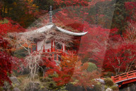The Bentendo hall of Daigo-ji temple, one of the UNESCO world heritages of Kyoto.
