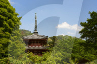 Mimuroto-ji temple pagoda, Kyoto.