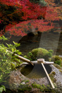 Tsukubai water basin in Renge-ji temple, Kyoto.