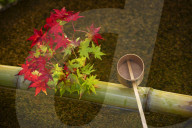 Tsukubai water basin with autumn decoration, Enko-ji temple, Kyoto.