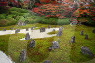 Komyo-in temple moss garden in autumn, Kyoto.