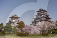 Momoyama castle during cherry blossom season, Kyoto.