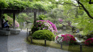 Jonan-gu shrine gardens, Kyoto.