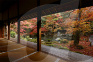 Late autumn in Renge-ji temple pond garden, Kyoto.