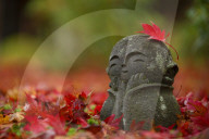Little jizo statue among fallen maple leaves, Enko-ji temple, Kyoto.