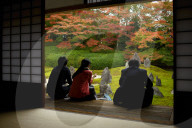 Visitors silently watching moss and rock garden, Komyo-in temple, Kyoto.