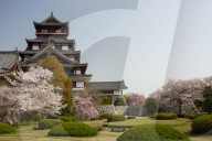 Momoyama castle during cherry blossom season, Kyoto.