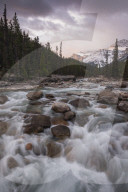 Sunrise and glacial blue rushing waters at Mistaya Canyon, Banff National Park, Alberta, Canada