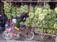 Motorbike wagon carrying a heavy load of bananas, Siem Reap, Cambodia, Southeast Asia
