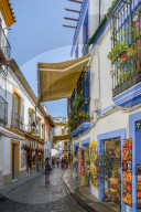 Tourist shops in the narrow pedestrian streets of Cordoba, Andalucia, Spain