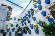 Traditional blue pots on a whitewashed wall in Cordoba, Andalucia, Spain