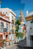 Pedestrian street in the historic centre of Cordoba, Andalucia, Spain with Bell Tower - La Mezquita / Great Mosque in background