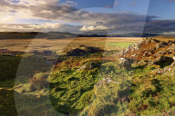 A winter view looking across Moine Mhor Nature Reserve from Dunadd Fort in the Scottish Highlands.