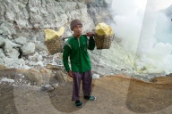 Sulphur miner of Ijen volcano, Eastern Java, Indonesia