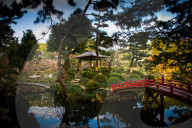 The Shukkei-en gardens, Hiroshima, Japan