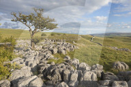 View towards Conistone Dib from Hill Castles scar above the village of Conistone, Wharfedale, Yorkshire Dales, UK