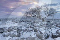View to Ingleborough Hill from Twisleton Scar at sunrise in winter,Ingleton, Yorkshire Dales National Park, North Yorkshire, UK