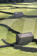 Stone field barns and dry stone walls at Gunnerside, Swaledale, Yorkshire Dales, UK