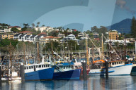 Coffs Harbour Marina, New South Wales, Australia.