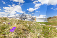 Spring at the Mongolian tents of Alp Flix, Sur, Surses, Parc Ela, Region of Albula, Canton of GraubÃ¼nden, Switzerland, Europe.
