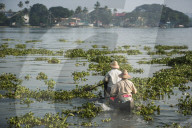 Fishermen, Fort Kochi (Cochin), Kerala, India
