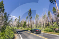 A forest fire destroys an area of forest in Yosemite Valley in the Yosemite National Park, California, USA