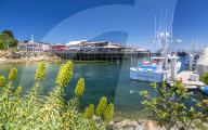 Fisherman's Wharf, Monterey Bay, Peninsula, Monterey, Pacific Ocean, California, United States of America, North America
