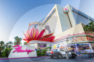 Flamingo, The Strip, Las Vegas Boulevard, Las Vegas, Nevada, United States of America, North America