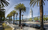 Ferry Building and Palm Trees, San Francisco, California, United States of America, North America