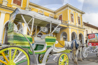 Typical horse carriage at the main square of Granada
