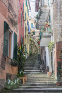 Colourful buildings and steps in Monterosso, Cinque Terre, Liguria, Italy, Europe, UNESCO World Heritage Site