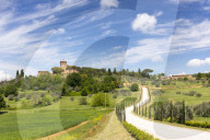 Winding path and Cypress Trees leading to Palazzo Massaini under blue skies near Pienza, Tuscany, Italy, Europe