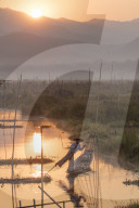 Fisherman rows with one leg at dawn in the floating gardens on Inle Lake, Myanmar (Burma), Asia