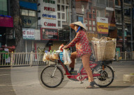 Vietnamese woman on bike crossing the road