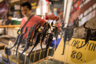Scorpions for sale in Chinatown