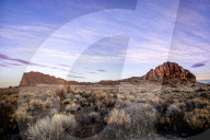 A man stands in some sagebrush, looking at a large rock formation during sunrise in the desert.