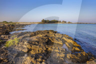Lu Frascone beach, NardÃ², Sant'Isidoro area, Puglia, Italy