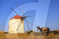 The village of Kampos, Tinos Island, Greece