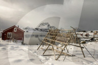 Traditional house and fish dring racks on Fredvang in the Lofoten Islands